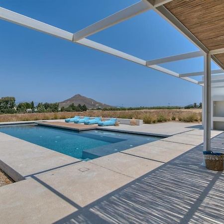 Villa Lampsi - Spacious & Modern Isterni  المظهر الخارجي الصورة